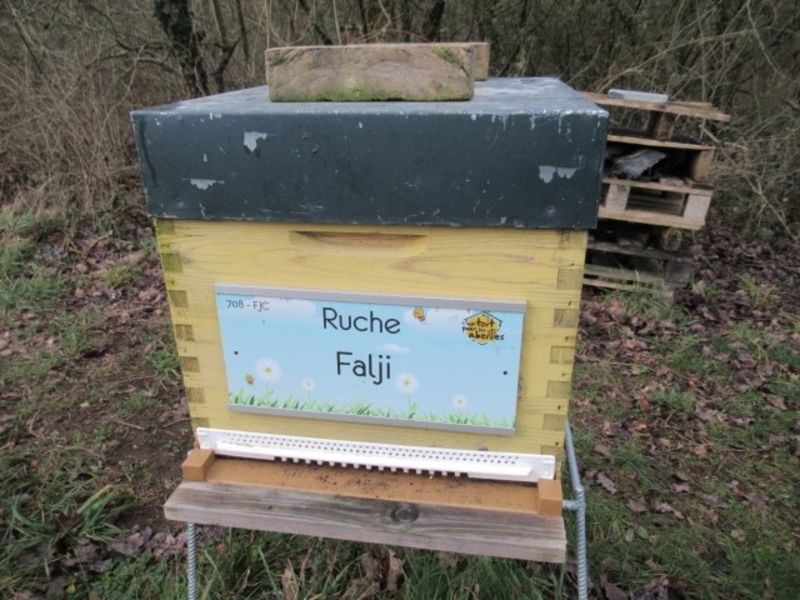 La ruche Falji