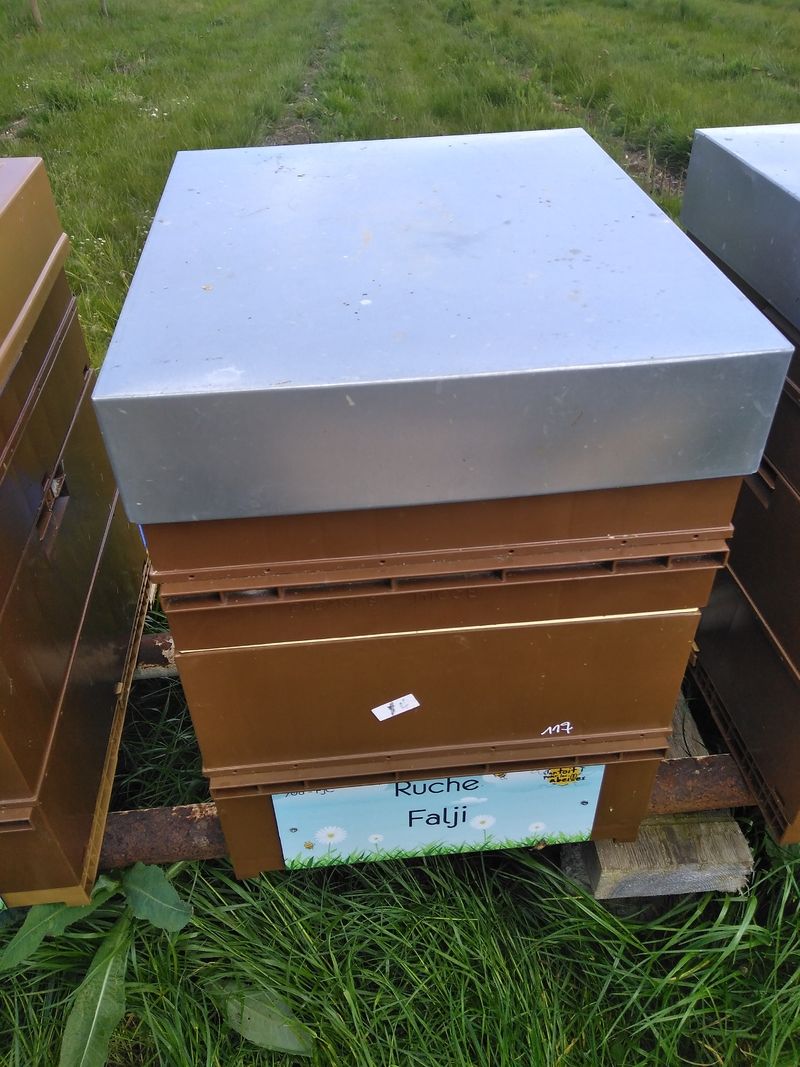 La ruche Falji