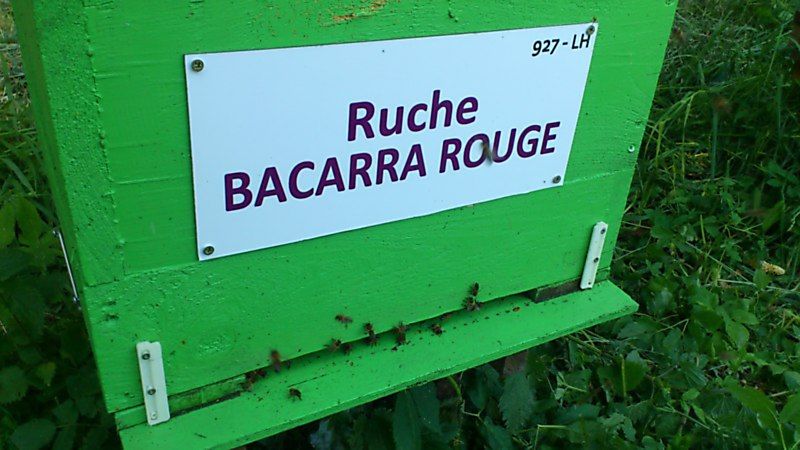 La ruche 