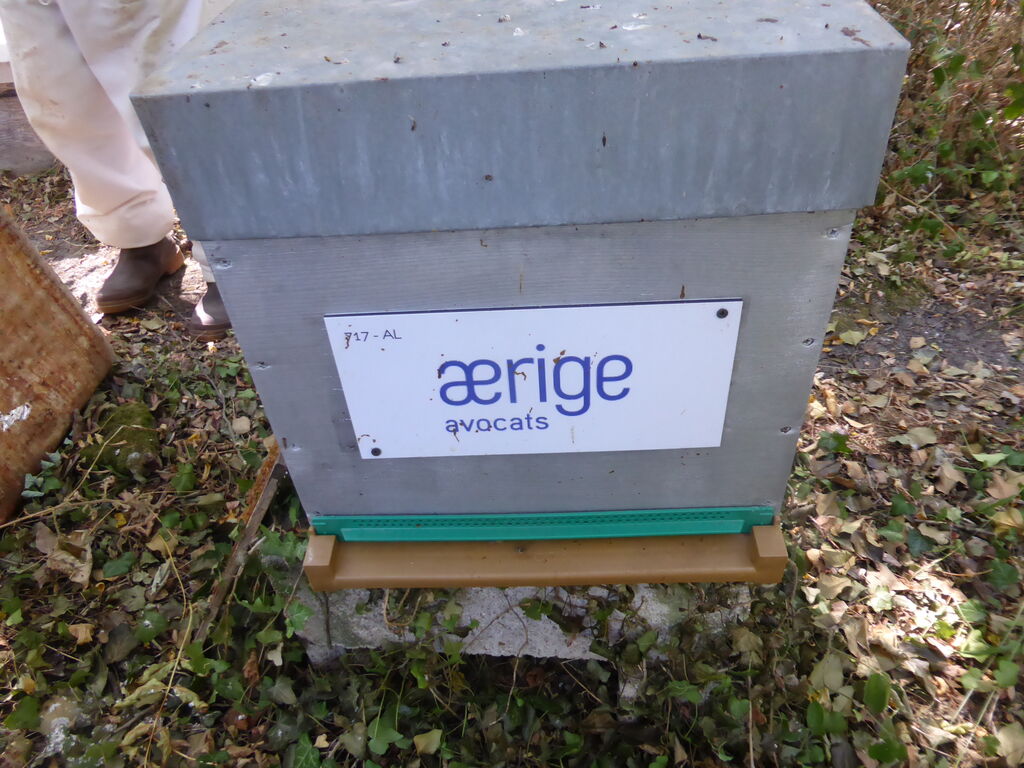 La ruche AERIGE AVOCATS