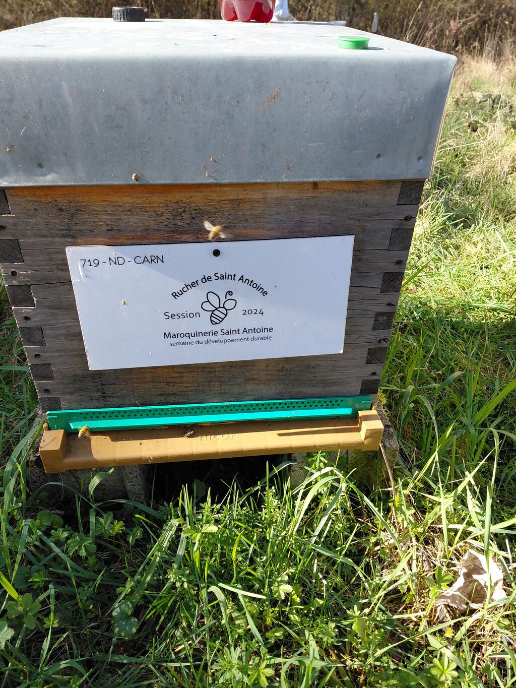 La ruche RUCHER DE SAINT ANTOINE
