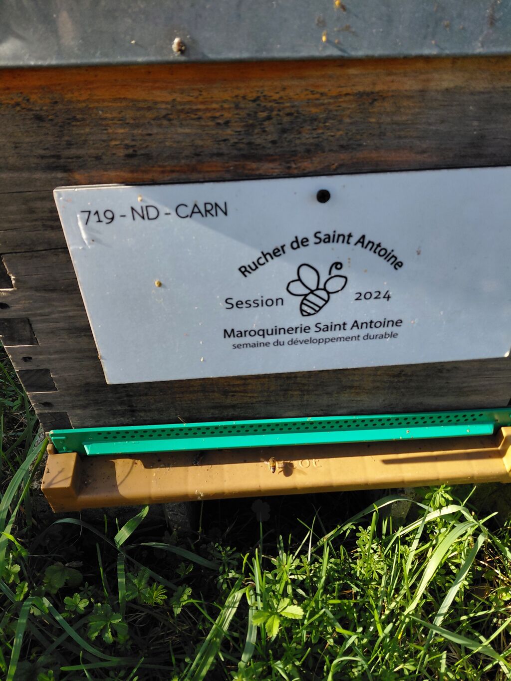 La ruche RUCHER DE SAINT ANTOINE