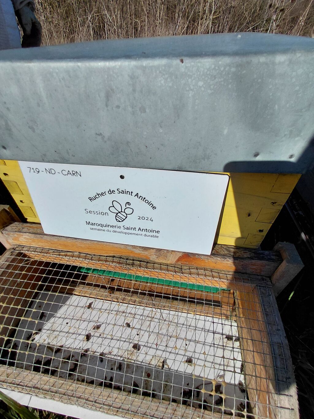 La ruche RUCHER DE SAINT ANTOINE