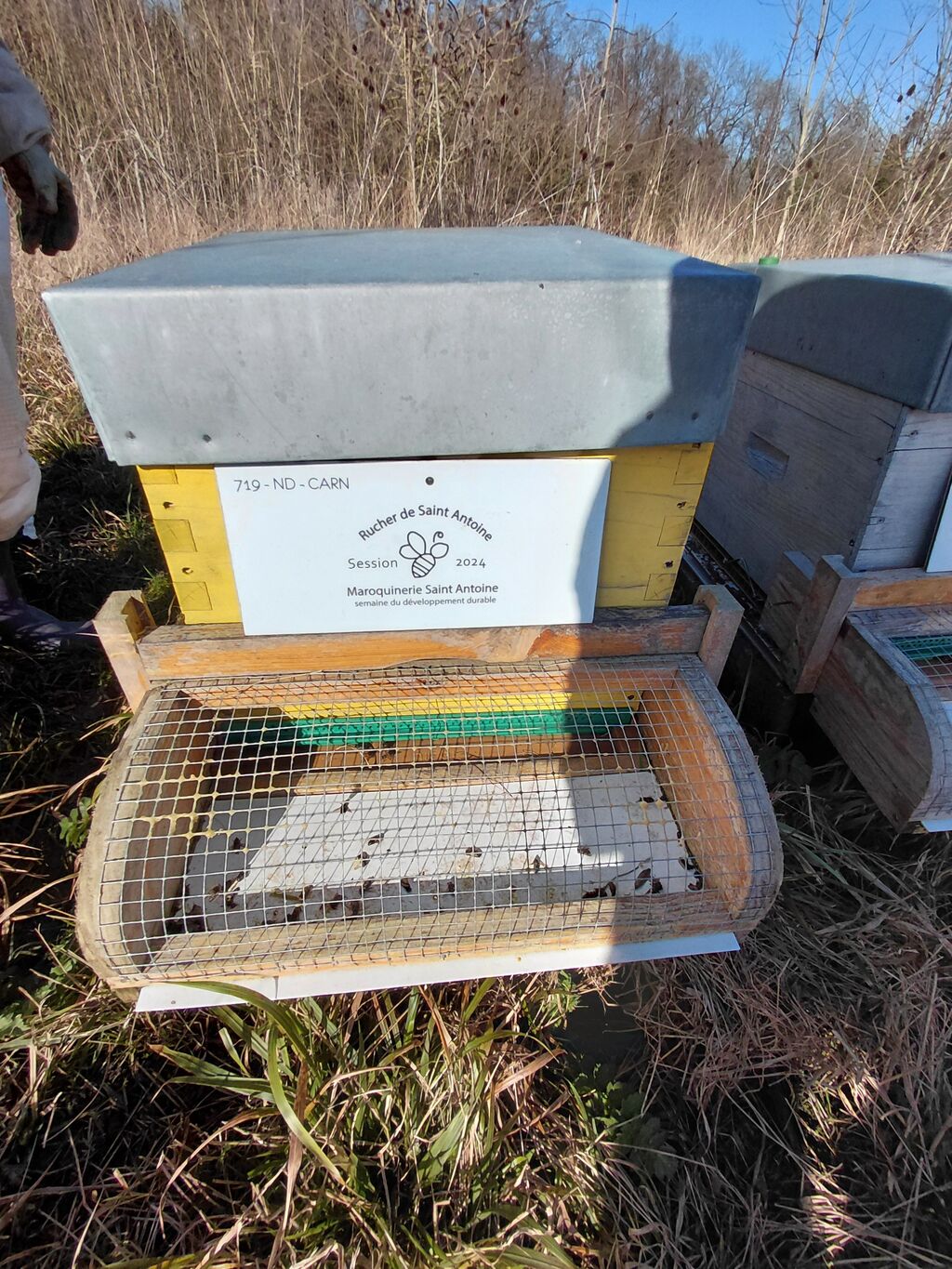 La ruche RUCHER DE SAINT ANTOINE