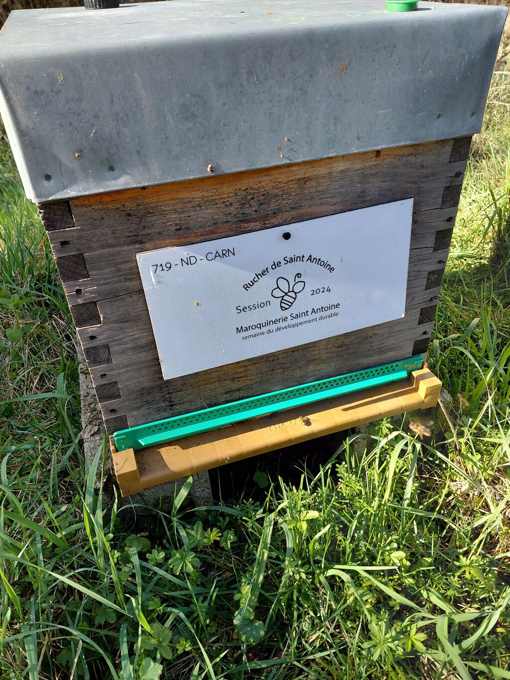 La ruche RUCHER DE SAINT ANTOINE