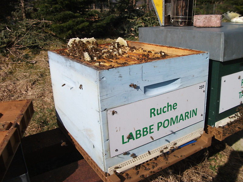 La ruche Labbe pomarin