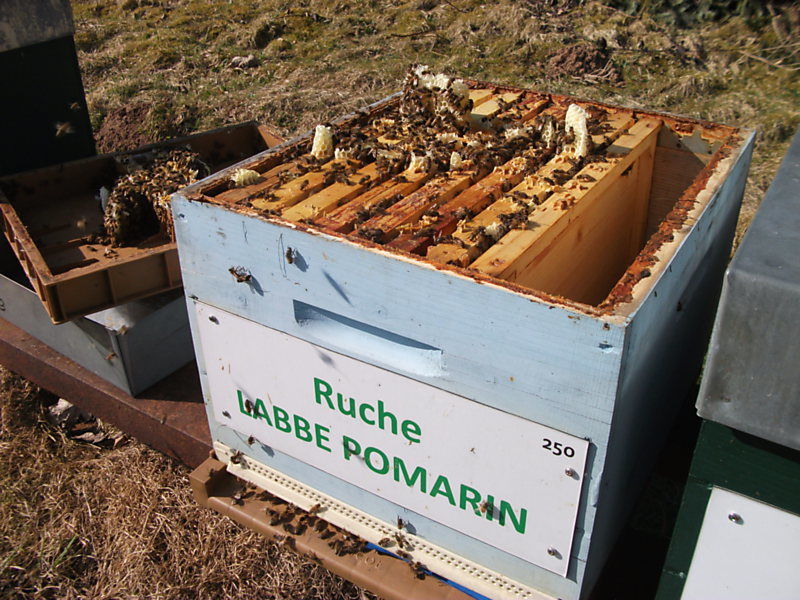La ruche Labbe pomarin