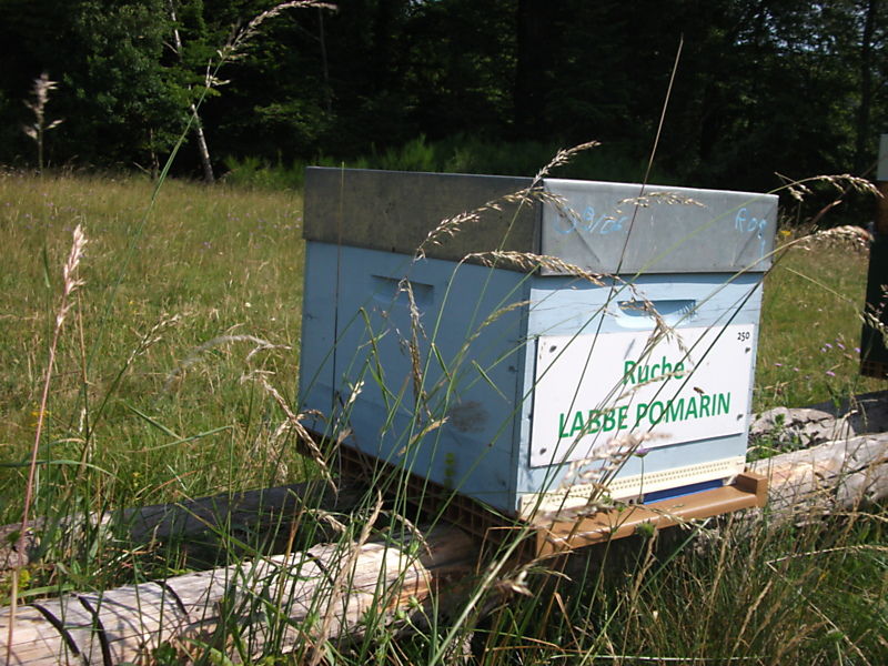 La ruche Labbe pomarin