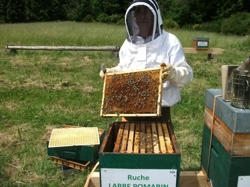 La ruche Labbe pomarin