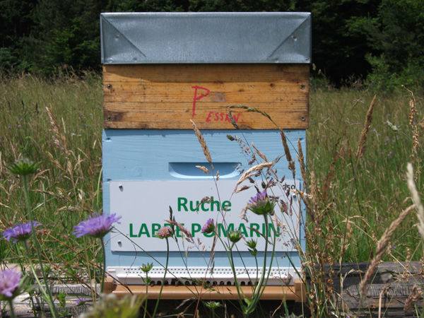 La ruche Labbe pomarin