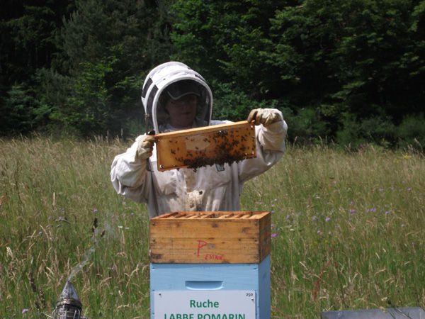 La ruche Labbe pomarin