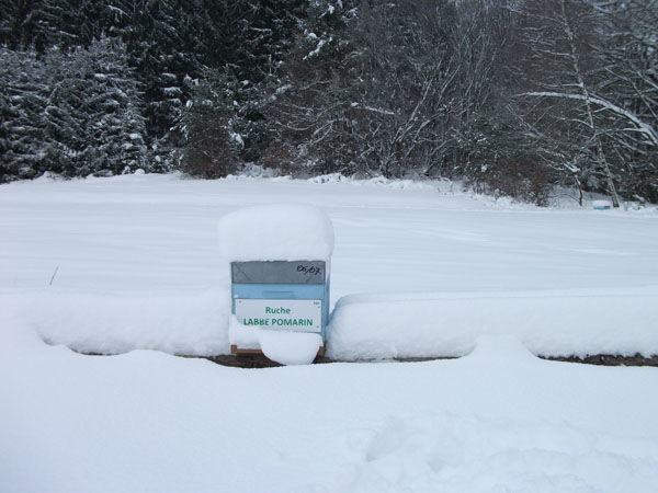 La ruche Labbe pomarin