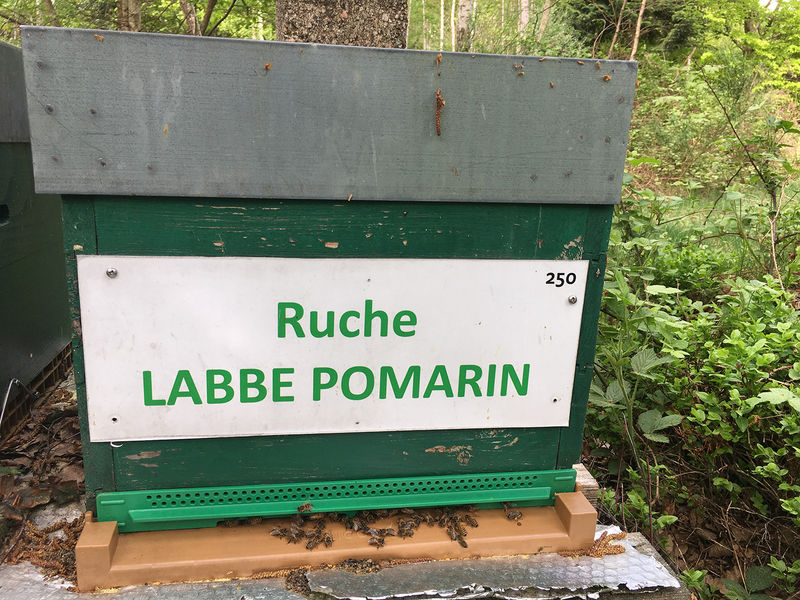 La ruche Labbe pomarin