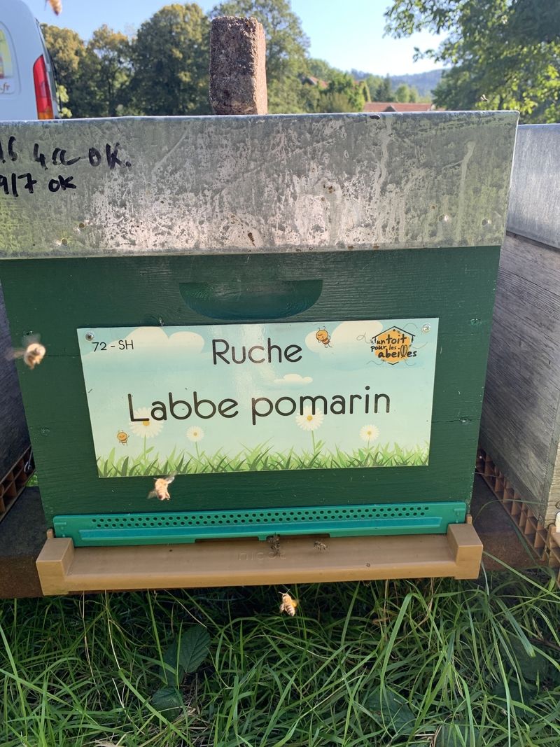 La ruche Labbe pomarin
