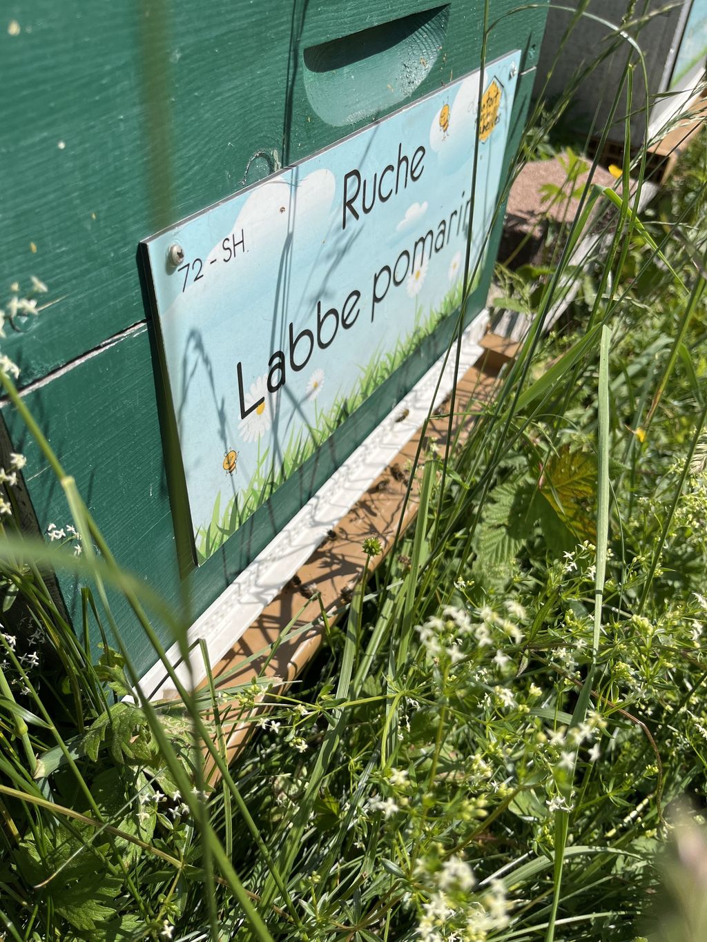 La ruche Labbe pomarin