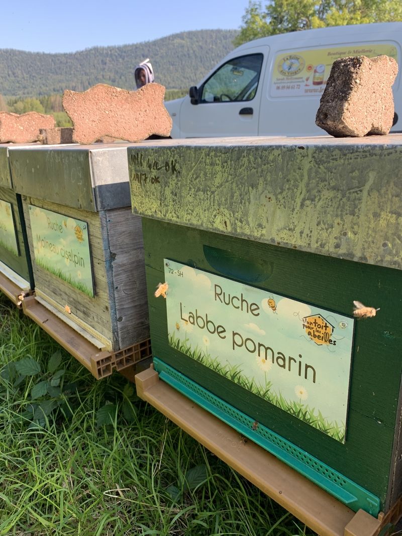 La ruche Labbe pomarin