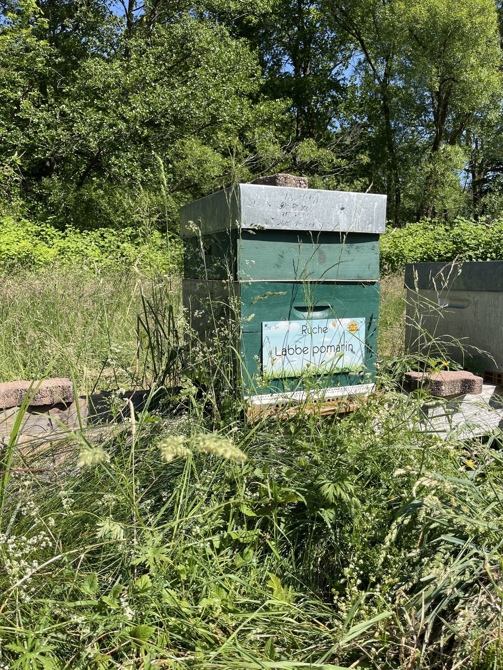 La ruche Labbe pomarin