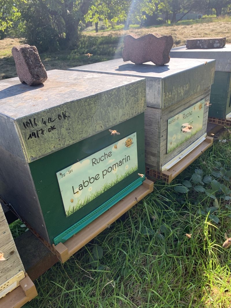 La ruche Labbe pomarin
