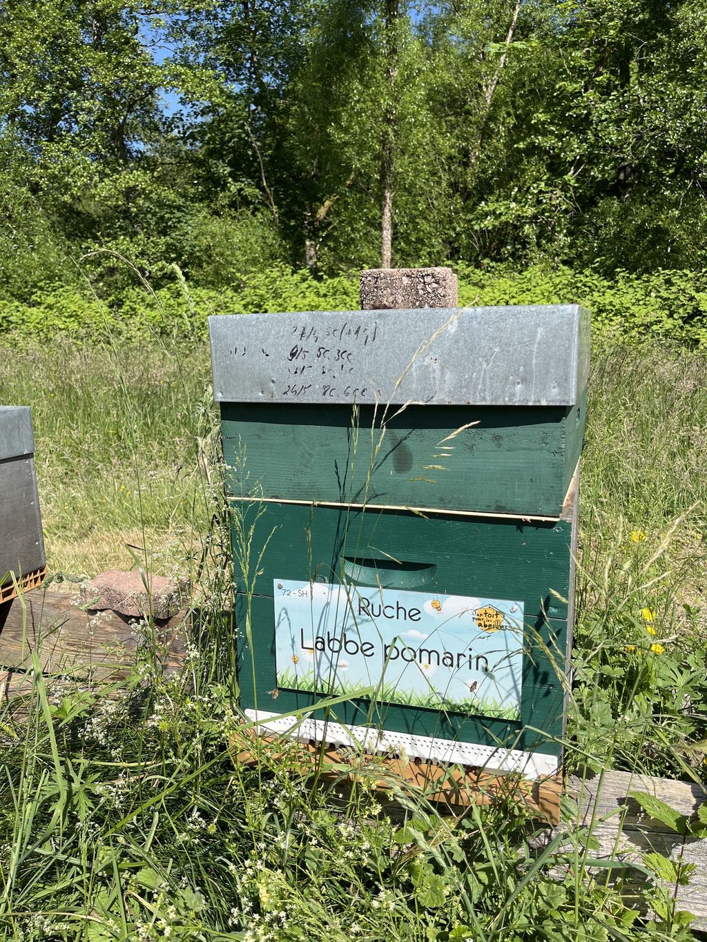 La ruche Labbe pomarin