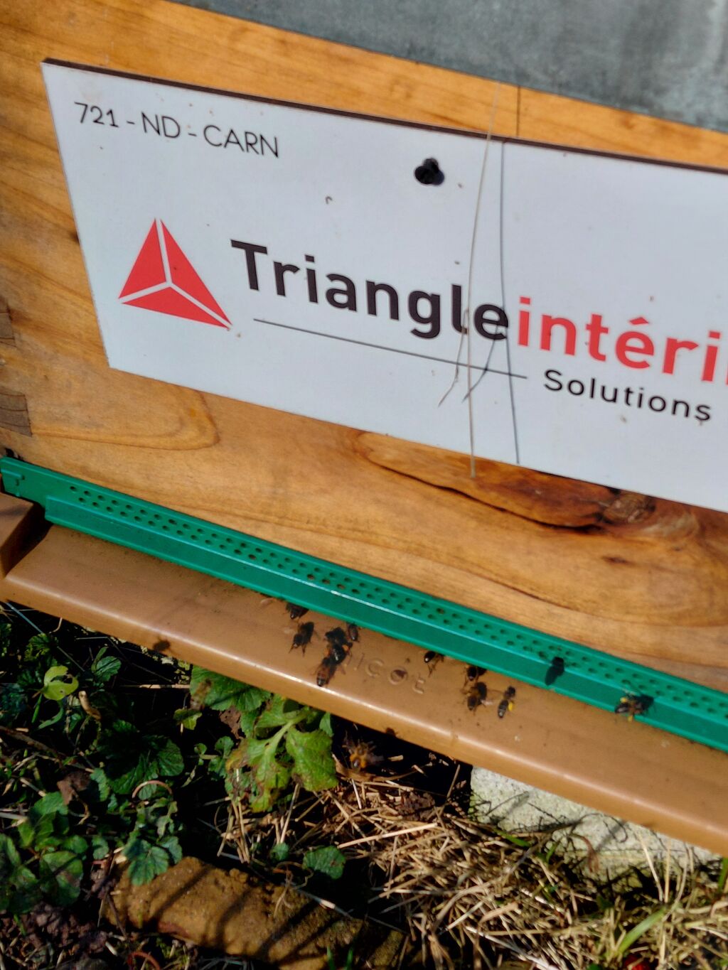 La ruche TRIANGLE INTERIM SOLUTIONS RH