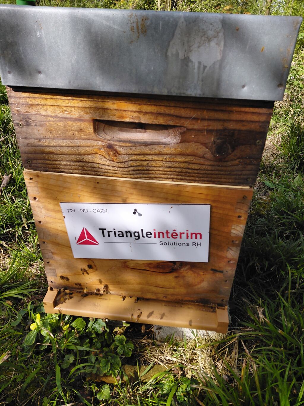 La ruche TRIANGLE INTERIM SOLUTIONS RH