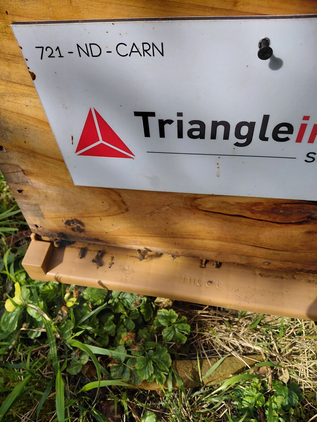 La ruche TRIANGLE INTERIM SOLUTIONS RH
