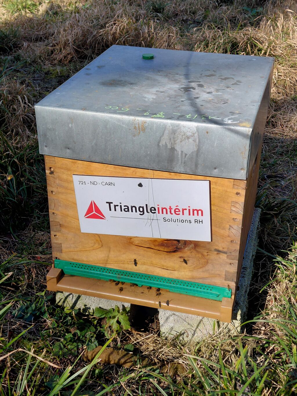 La ruche TRIANGLE INTERIM SOLUTIONS RH