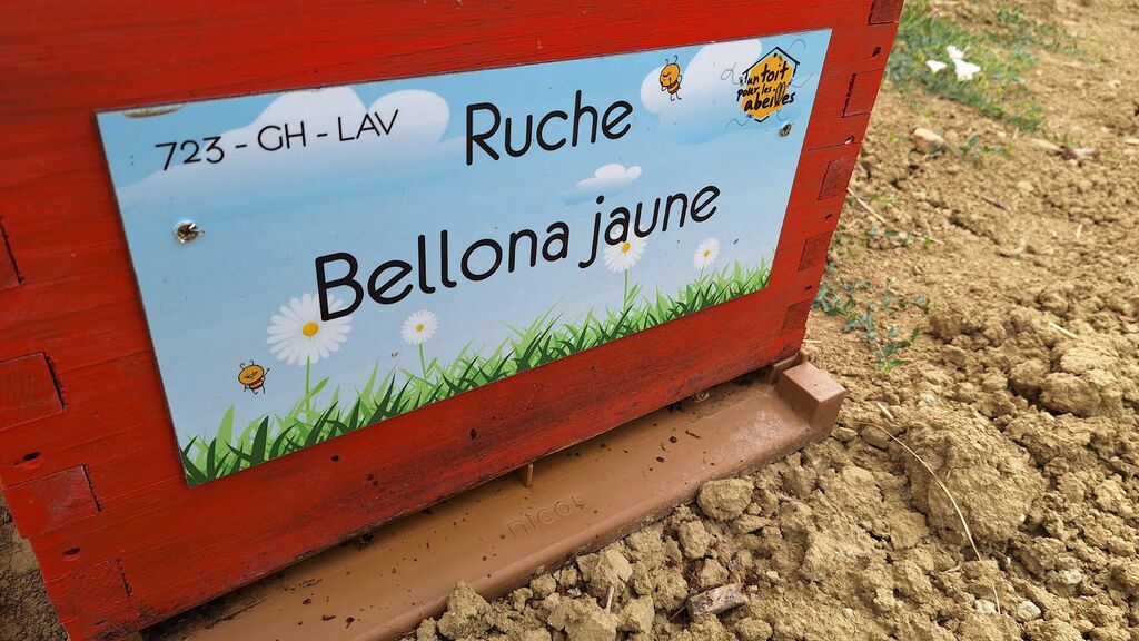 La ruche Bellona jaune