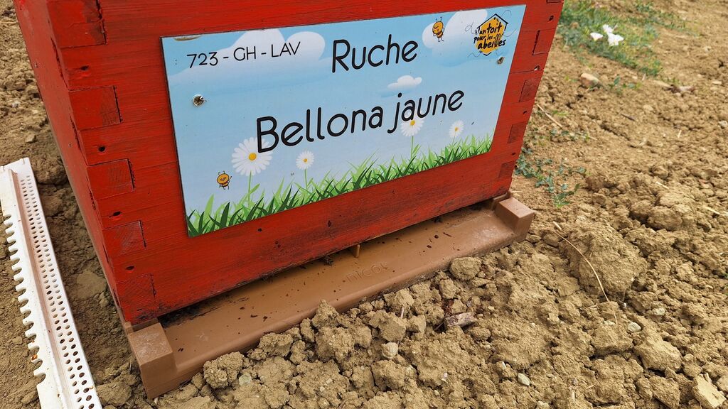 La ruche Bellona jaune