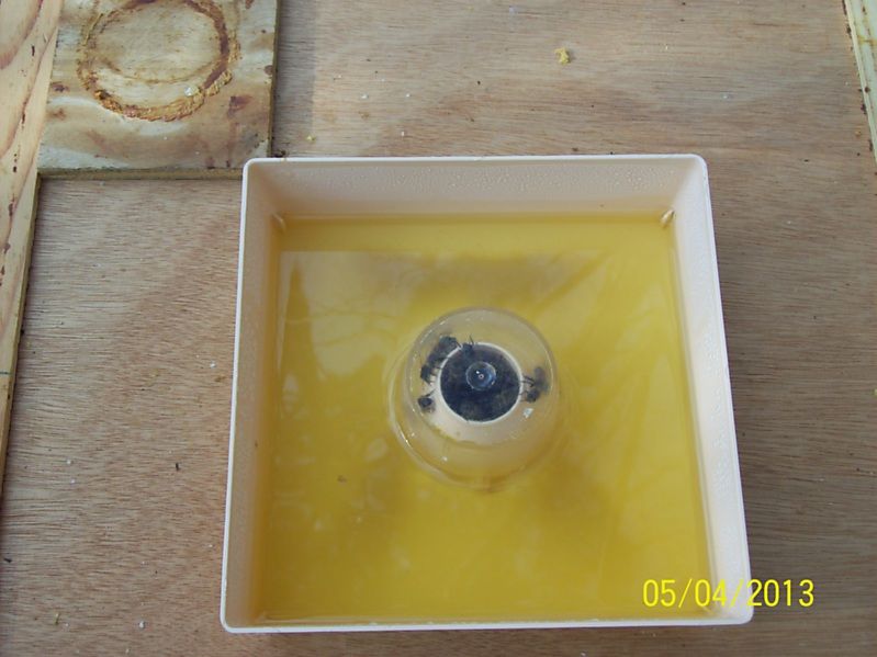 La ruche Carina rose