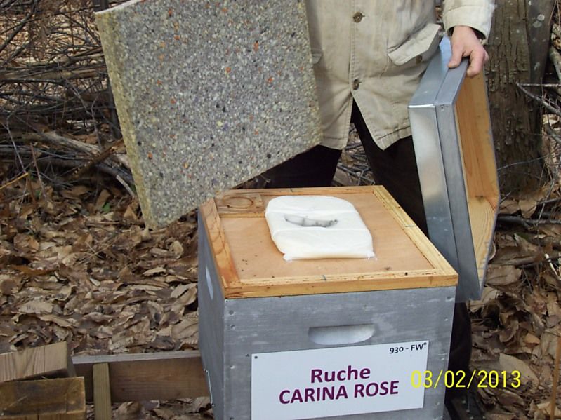 La ruche Carina rose