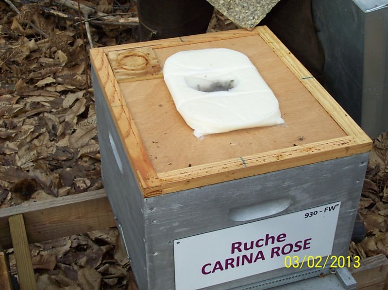 La ruche Carina rose