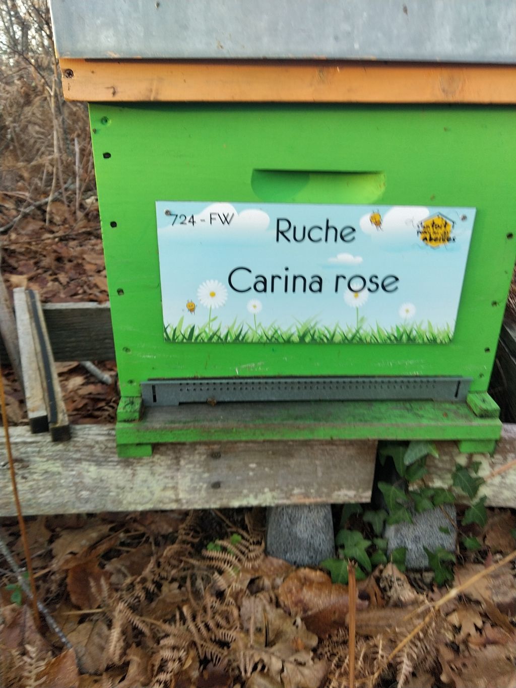 La ruche Carina rose