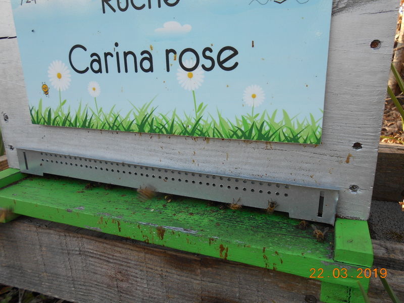 La ruche Carina rose
