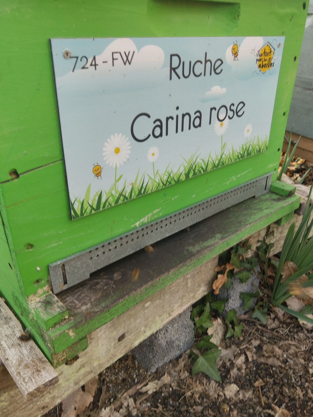 La ruche Carina rose