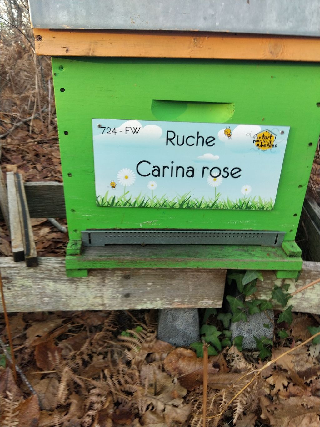 La ruche Carina rose