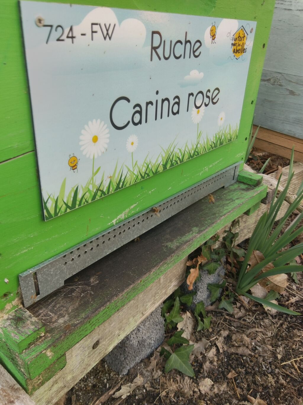 La ruche Carina rose