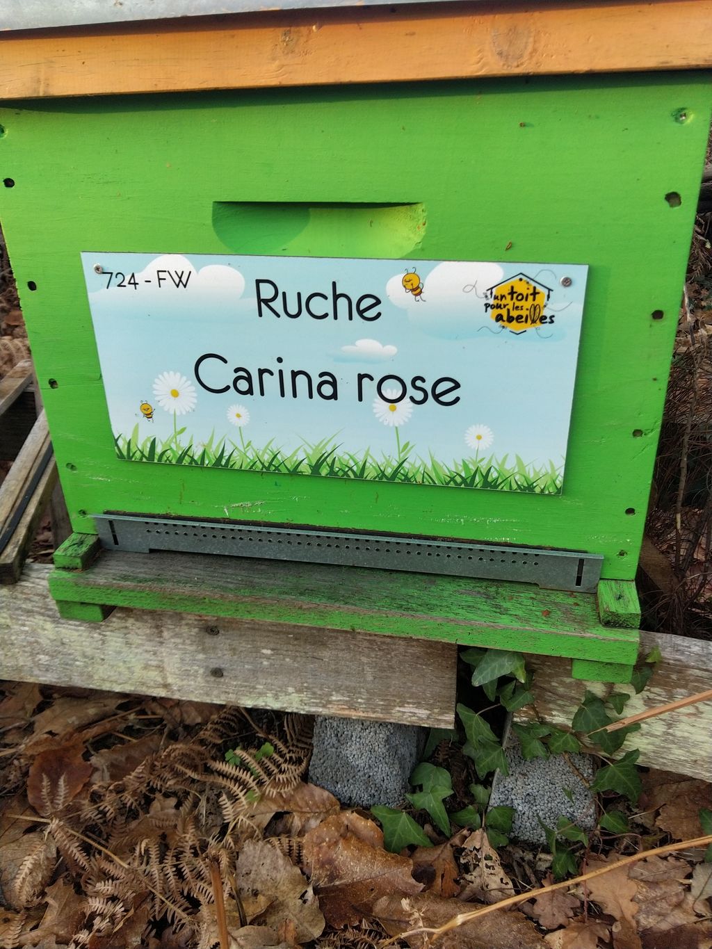 La ruche Carina rose