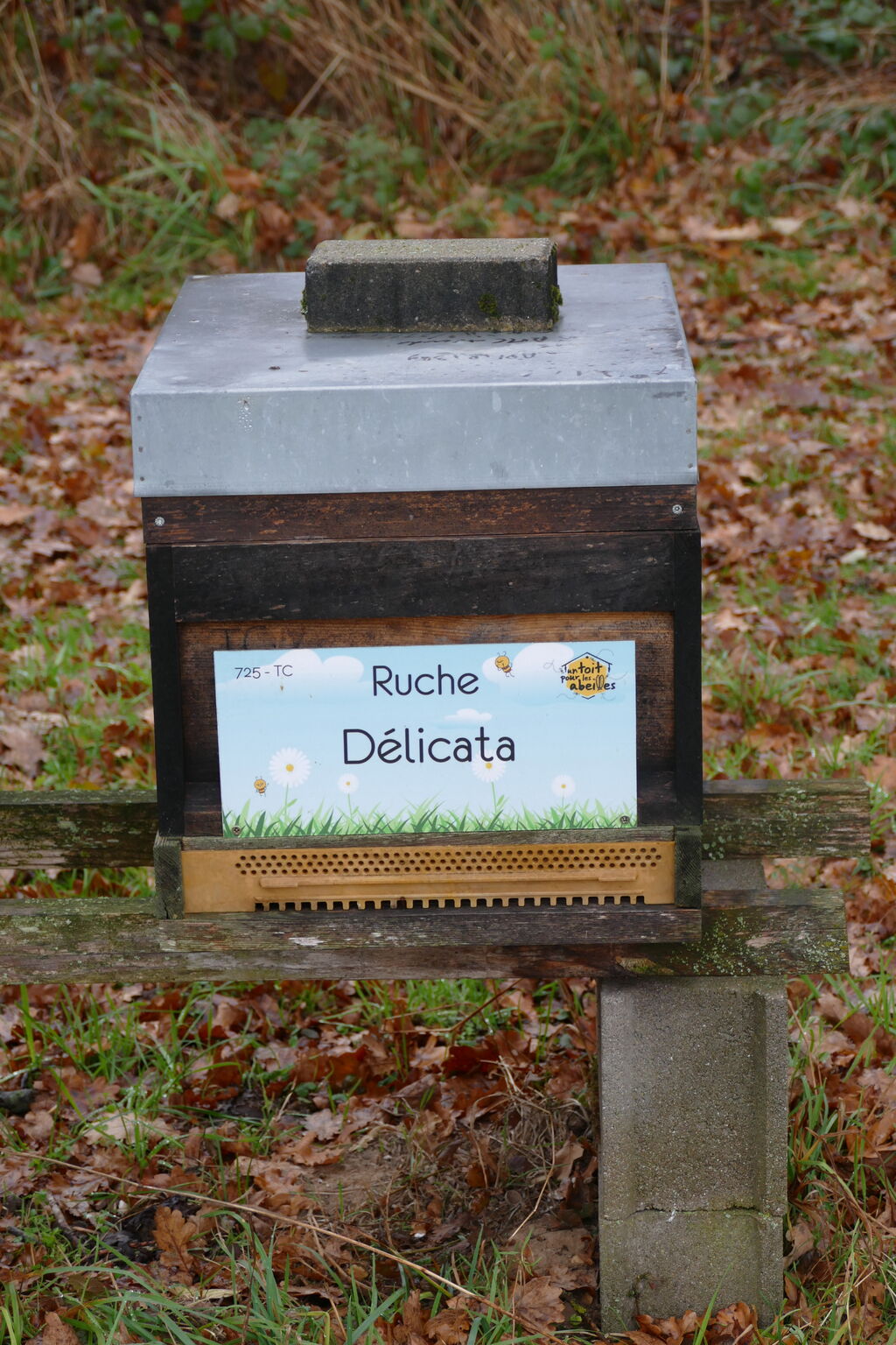 La ruche Délicata
