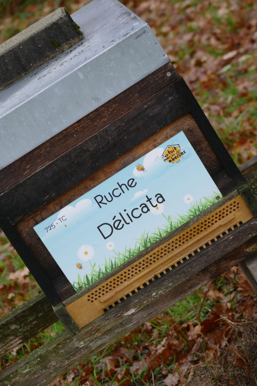 La ruche Délicata