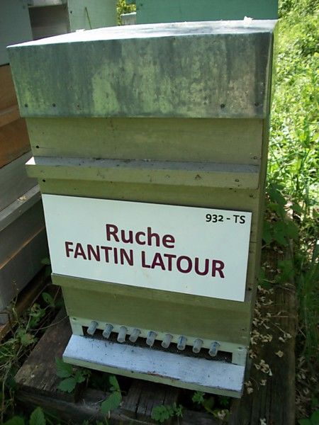 La ruche