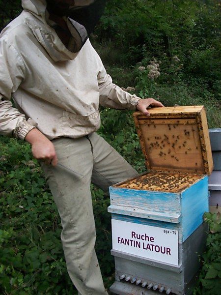 La ruche Fantin latour