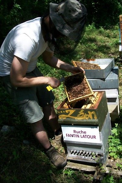 La ruche Fantin latour