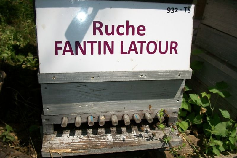 La ruche Fantin latour