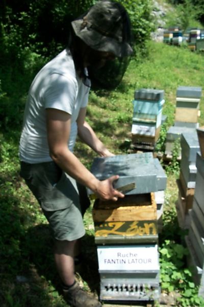 La ruche Fantin latour
