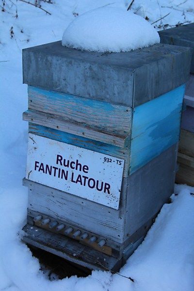 La ruche Fantin latour