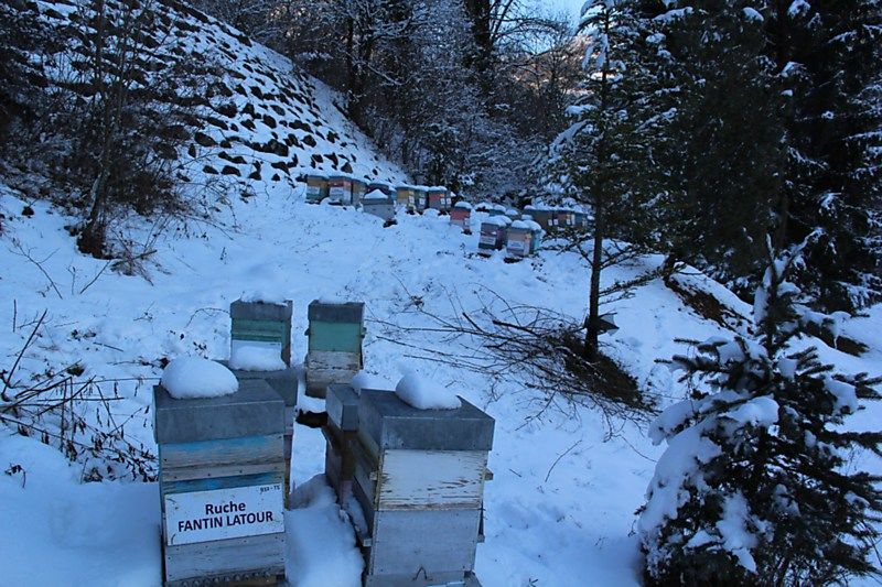 La ruche Fantin latour