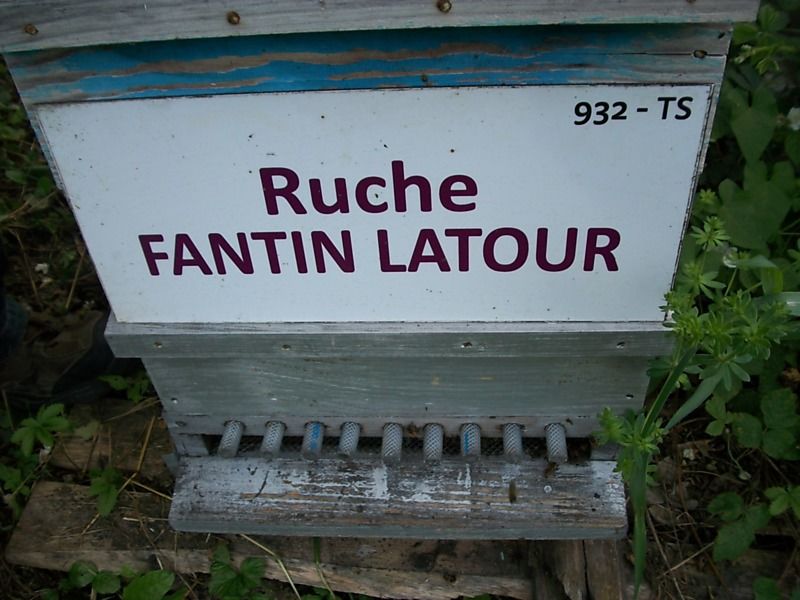La ruche Fantin latour