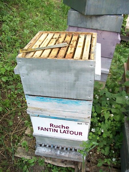 La ruche Fantin latour