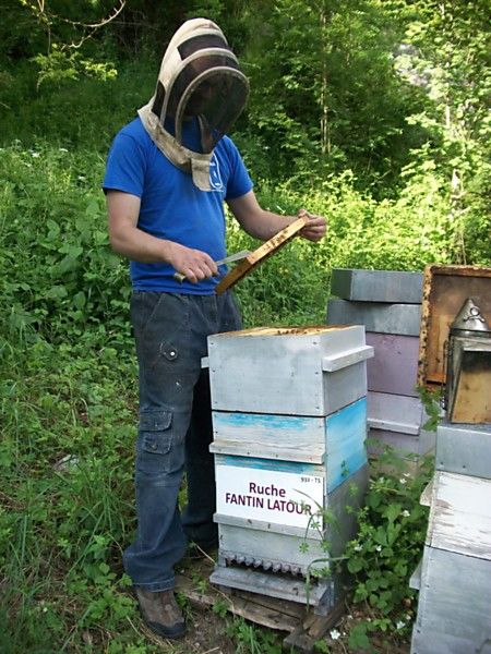 La ruche Fantin latour
